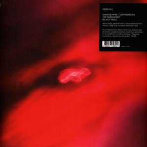 Siavash Amini & Saffronkeira ‎– The Faded Orbit – Limited Clear red Vinyl 180 gr