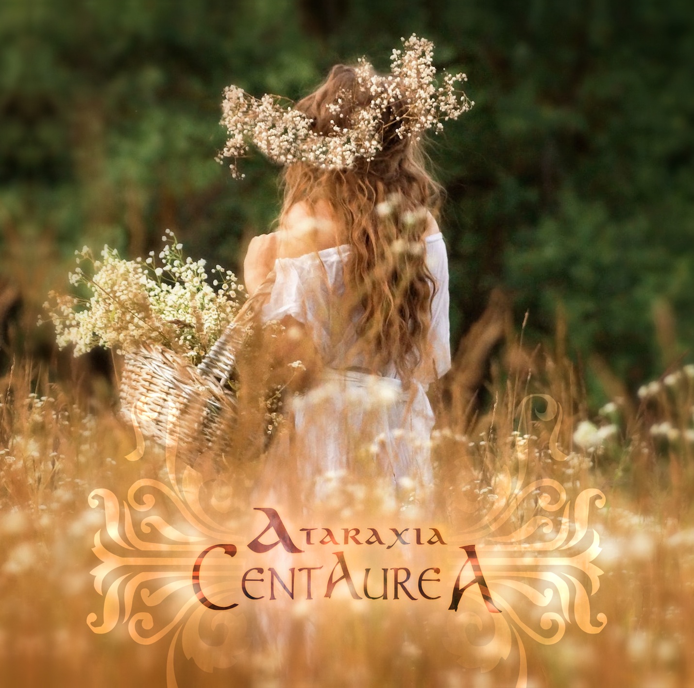 Read more about the article Ataraxia – Centaurea – New album – Pre order starts today!